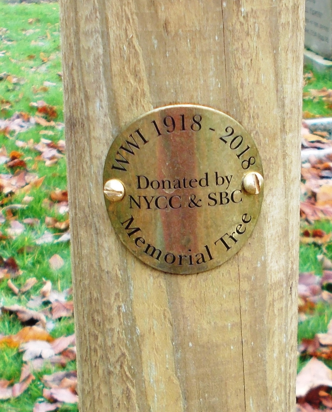 Commemorative Oak Tree Brass Plate