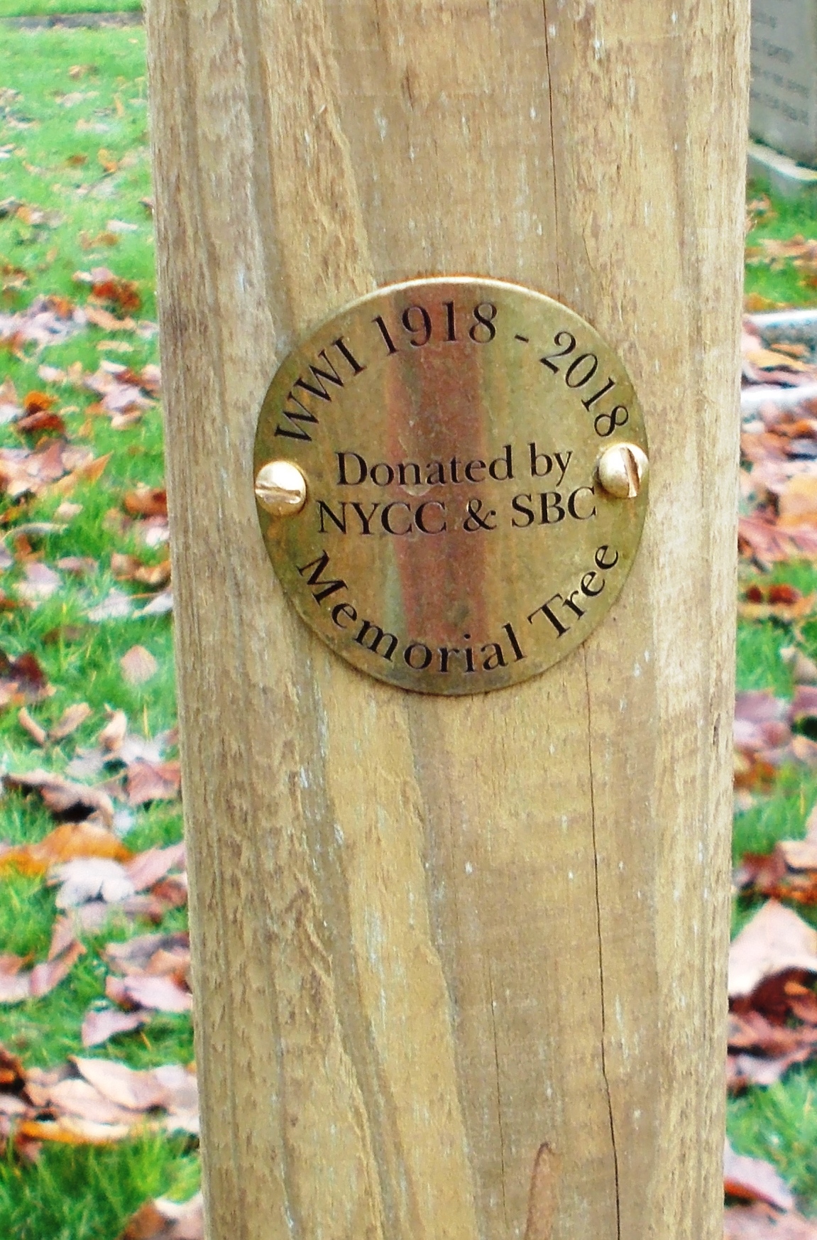 Commemorative Oak Tree Brass Plate